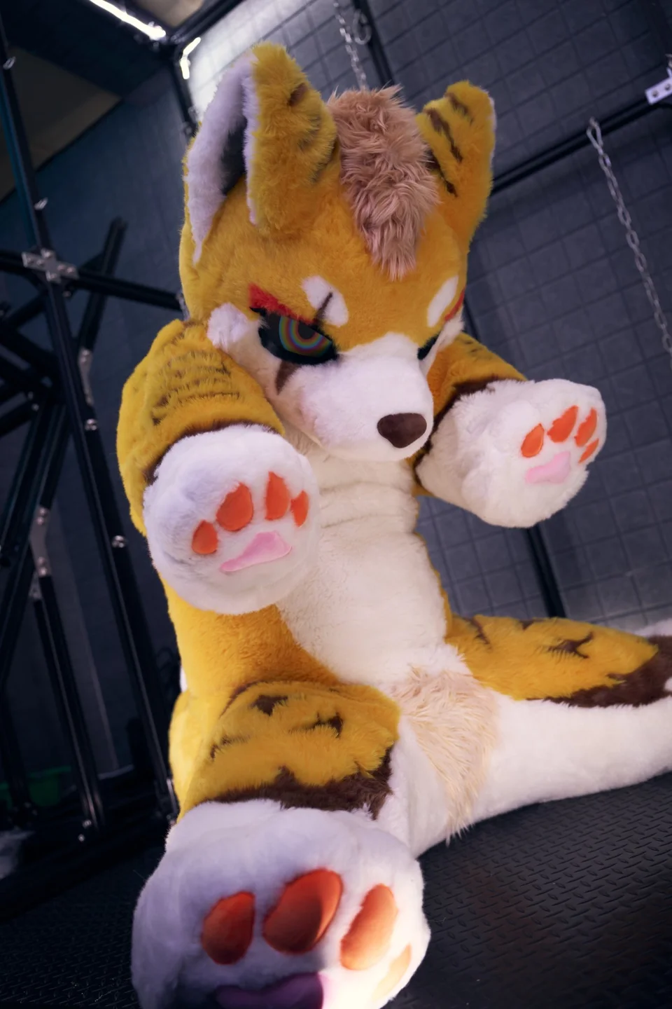 Playful golden FU series character crouching on all fours
