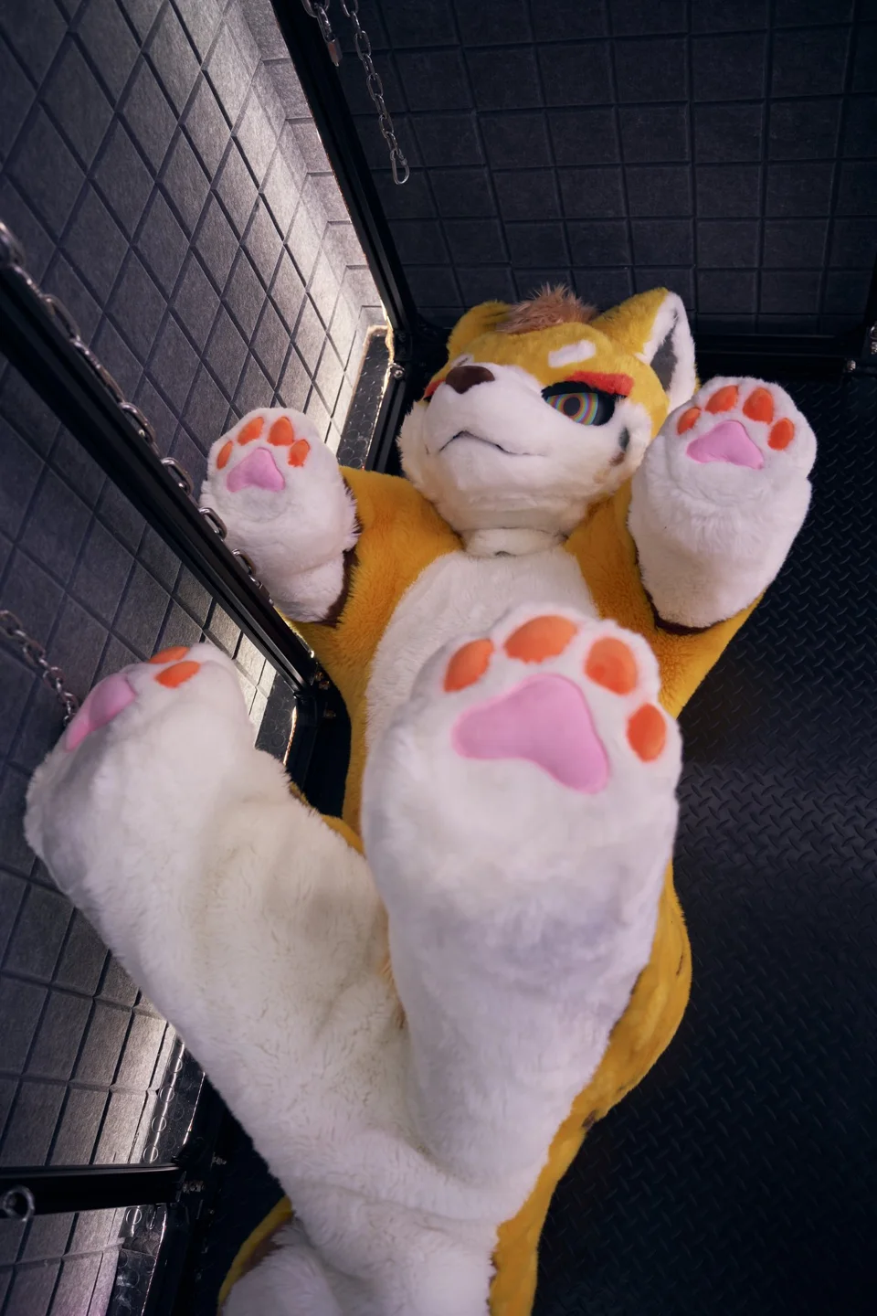 Playful golden FU series character crouching on all fours