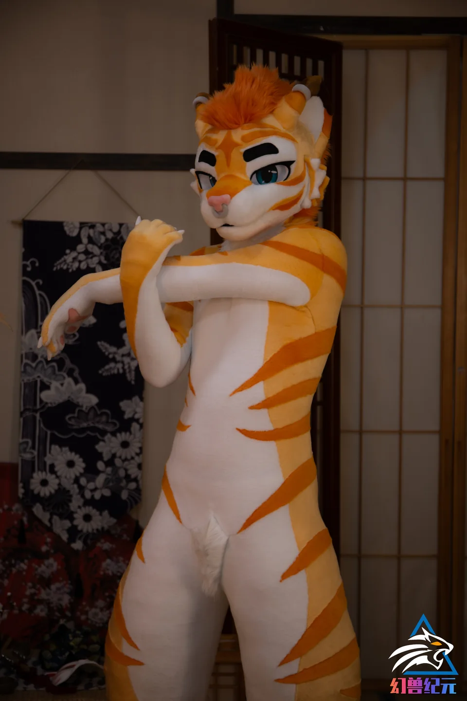 Cream tiger with orange stripes, CHI series, studio photograph