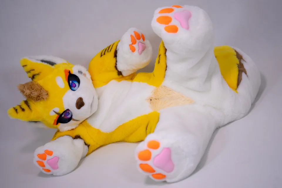 Yellow and white cat with stars, FU series, studio photograph