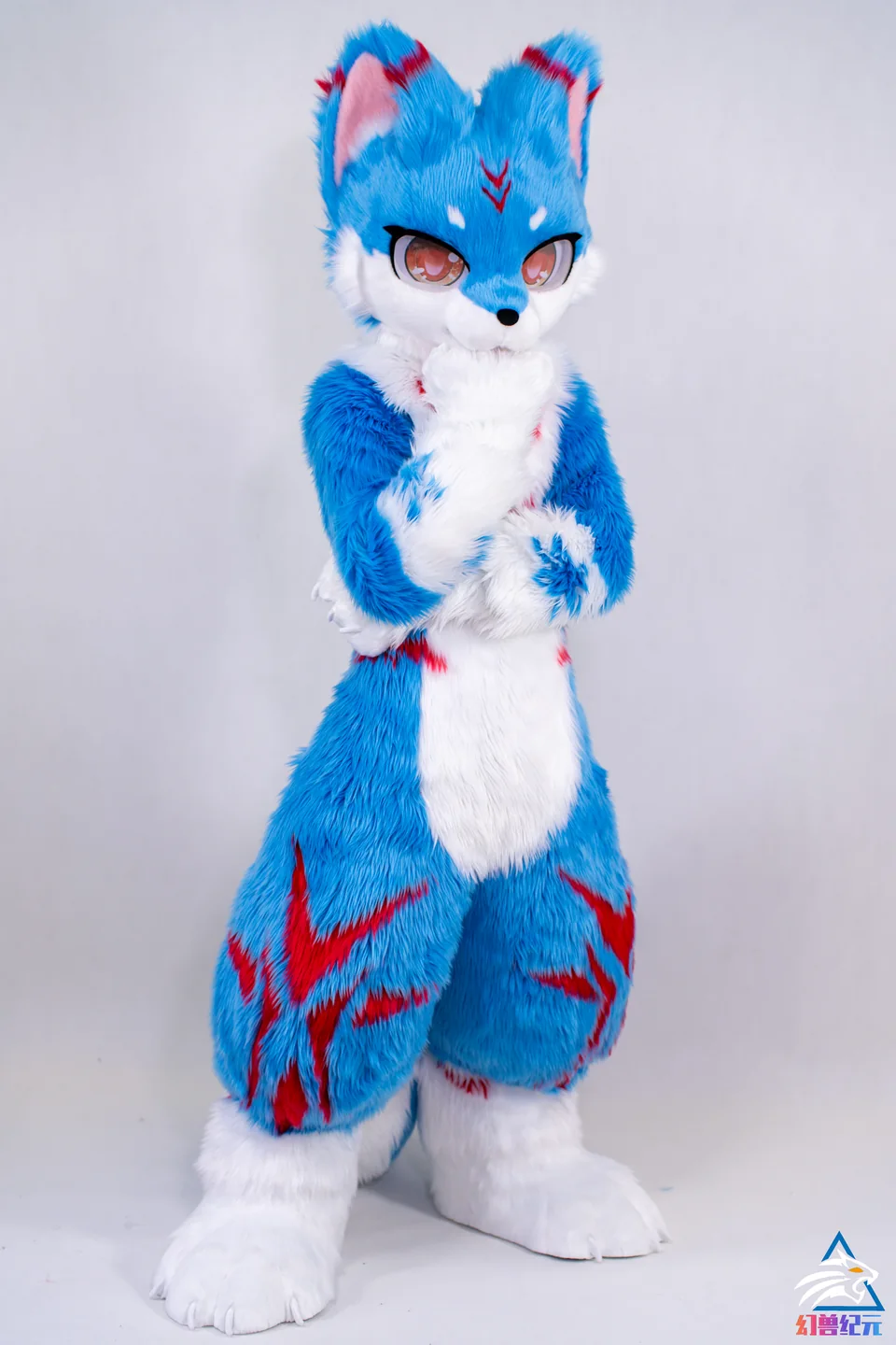 Blue plush canine with red markings, HUAN series, studio photograph