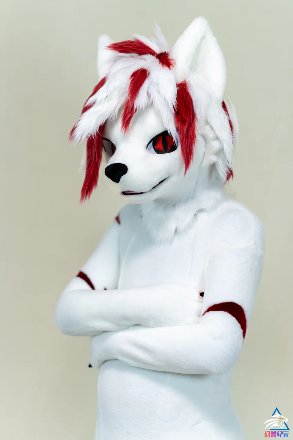 White canine with dark red markings, LAN series, studio photograph