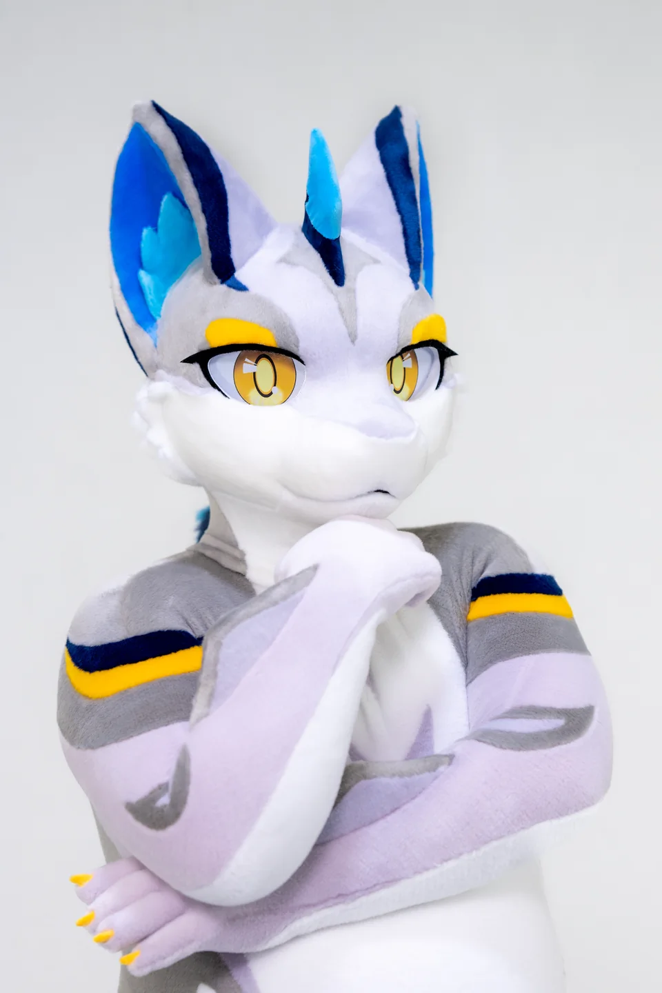 White and navy canine with yellow stars, LAN series, studio photograph
