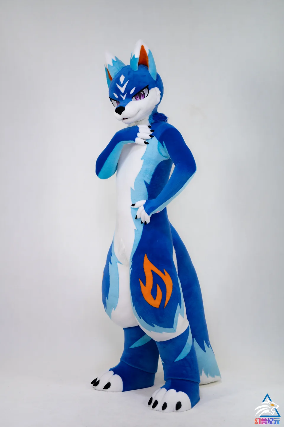 Cobalt canine with orange flame markings, LAN series, studio photograph