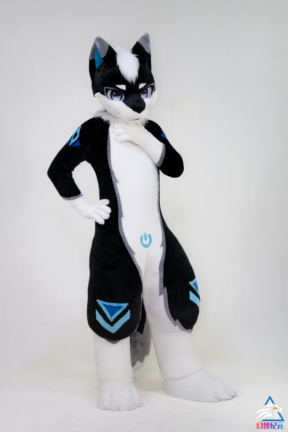 Black and white canine with cyan chevrons, LAN series, studio photograph