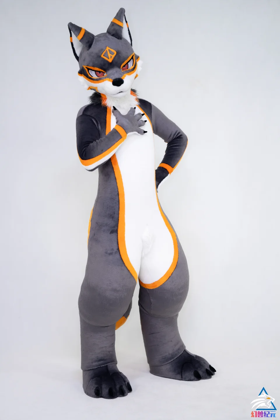 Gray canine with orange geometric accents, LAN series, studio photograph