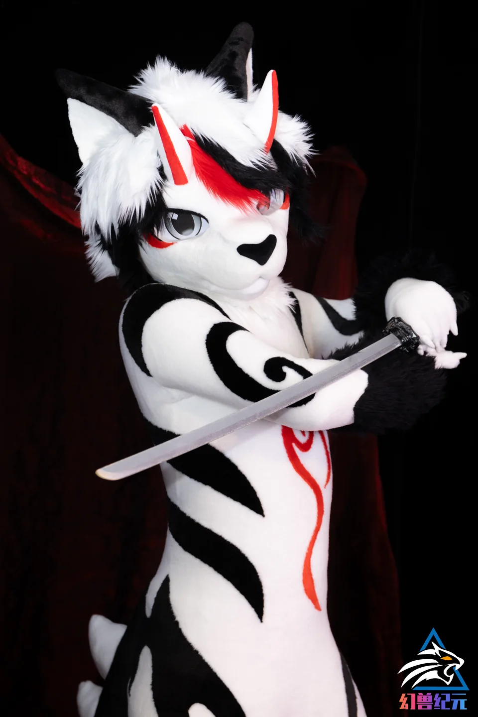 Black and white canine with red markings, LAN series, studio photograph