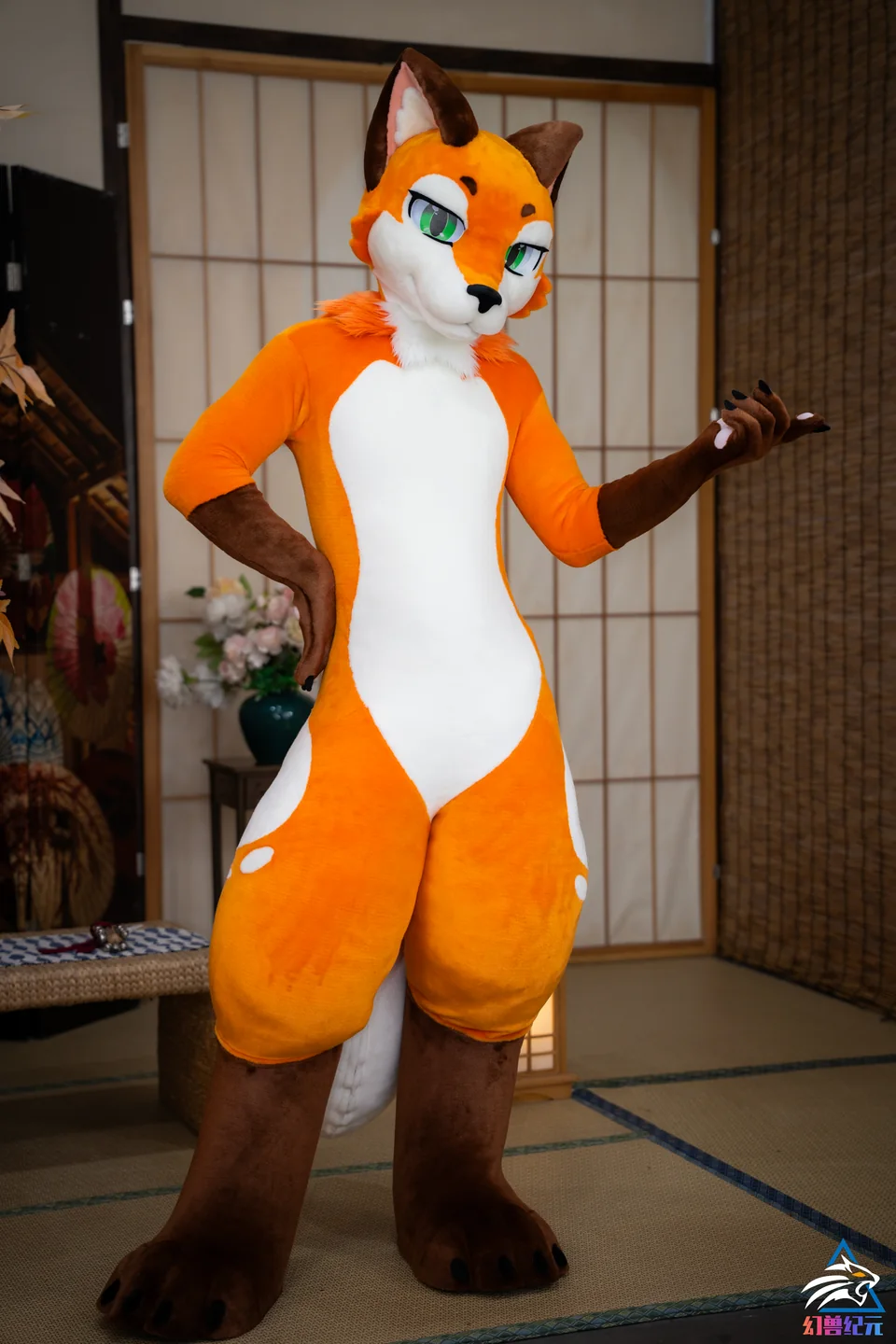 Orange and white fox with brown paws, LAN series, studio photograph